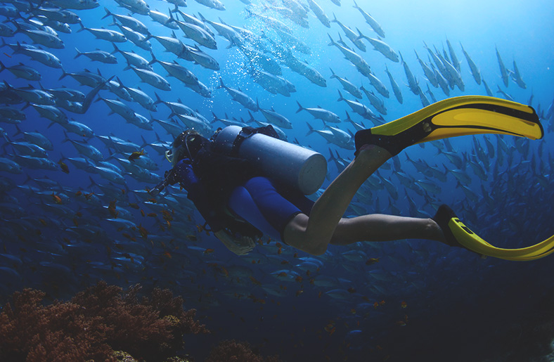 What to Wear Scuba Diving Here's The Correct Gear You Will Need