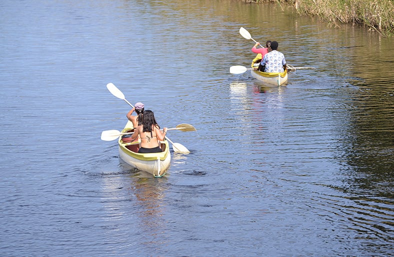 Guide to Average Canoe Speeds How Far Can You Paddle In A Day?