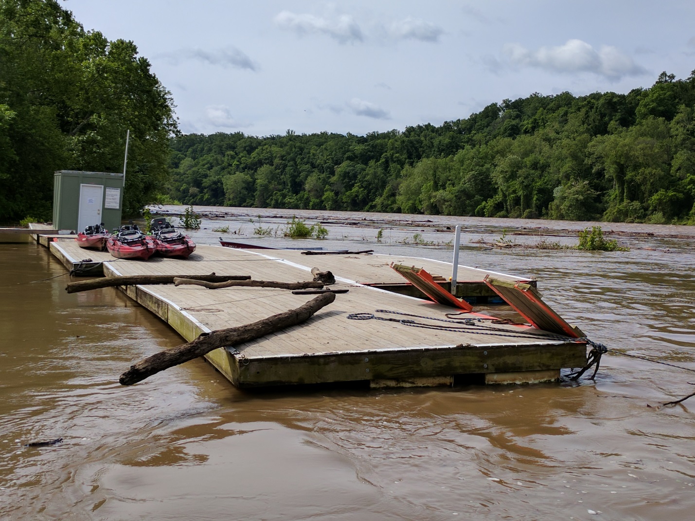 Report from Fletcher’s Cove, June Boating in DC Kayaking, Paddling, Passes, Tours, Classes