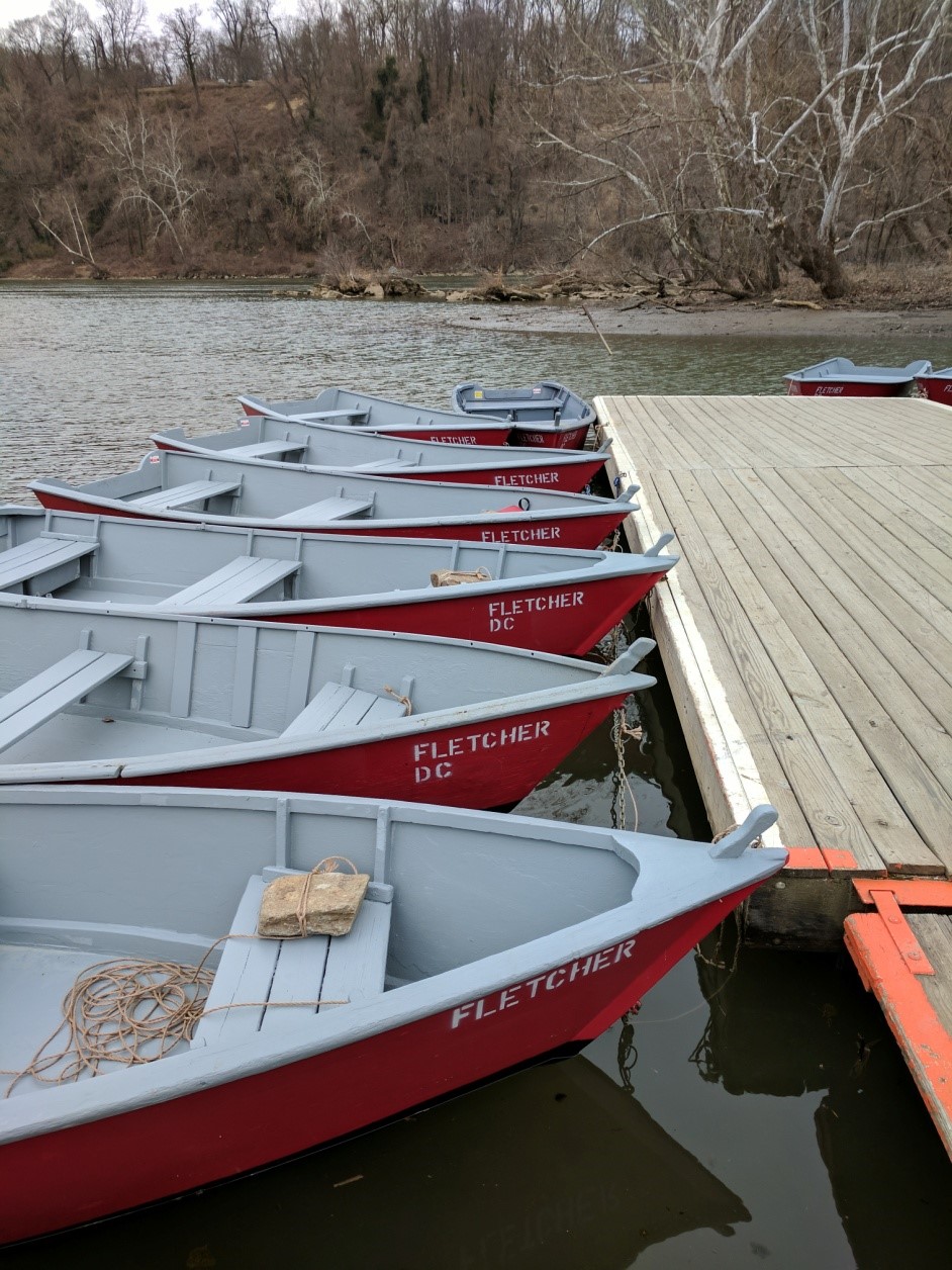 Report from Fletcher’s Cove Boating in DC Kayaking, Paddling, Passes, Tours, Classes