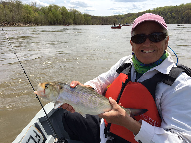 Report from Fletcher’s Cove Boating in DC Kayaking, Paddling, Passes, Tours, Classes