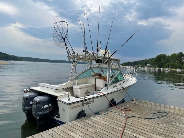 How to Dock a Twin Engine Boat