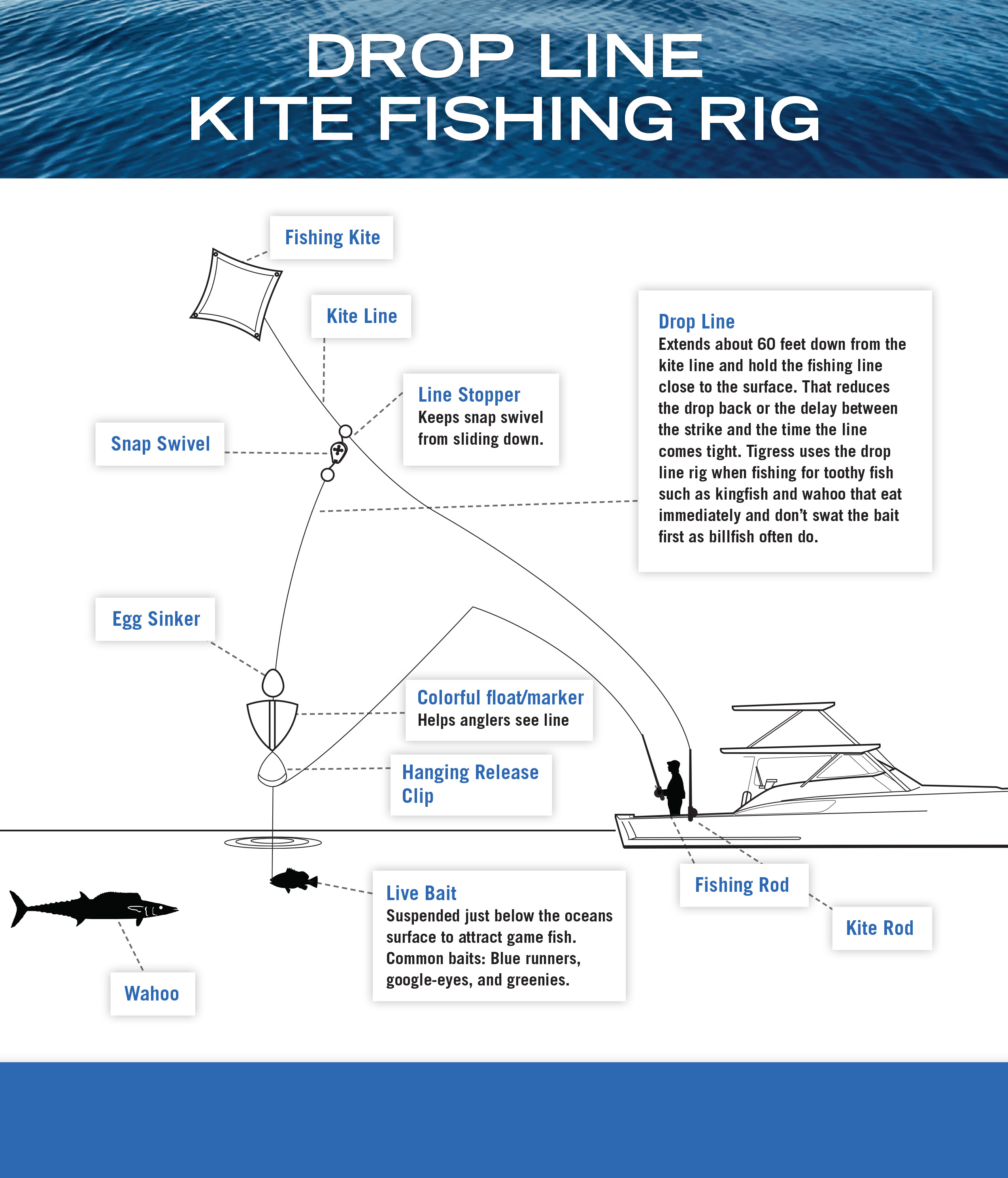 Kite Assembly Box Boat Outfitters