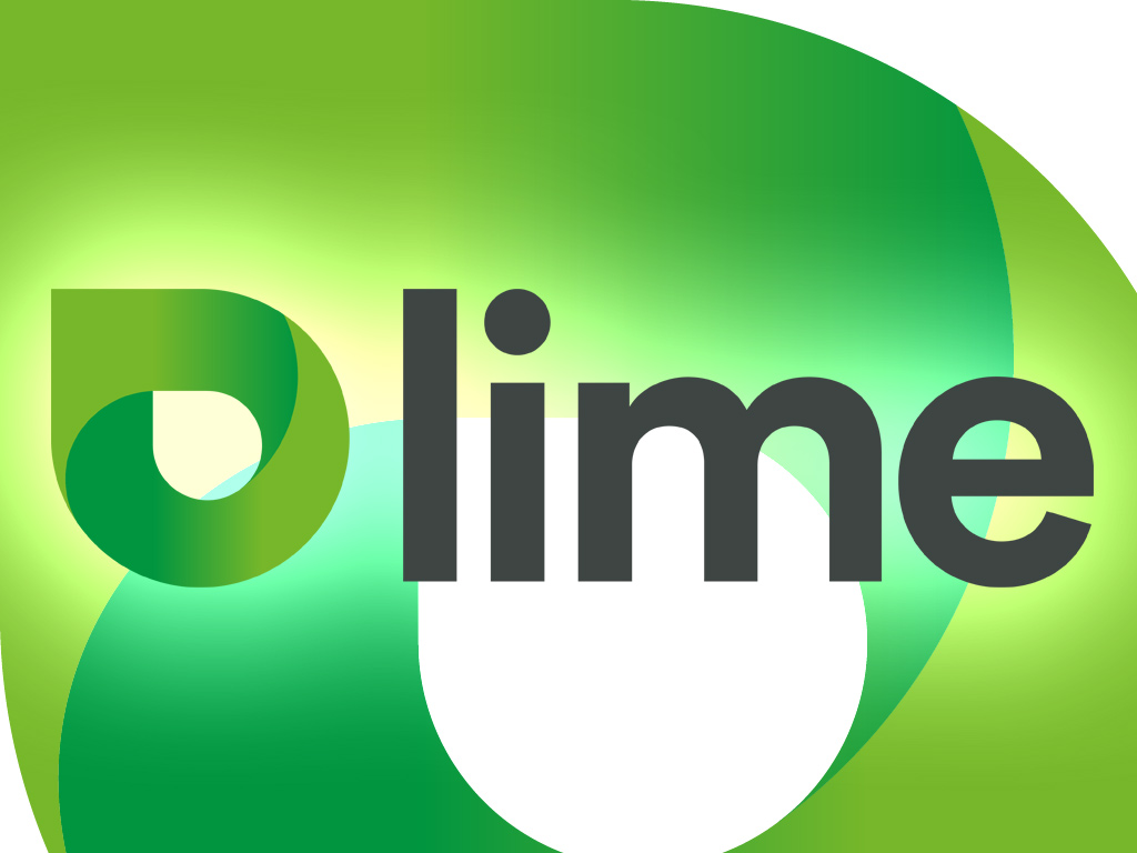 Lime Energy Bob Abbate Marketing