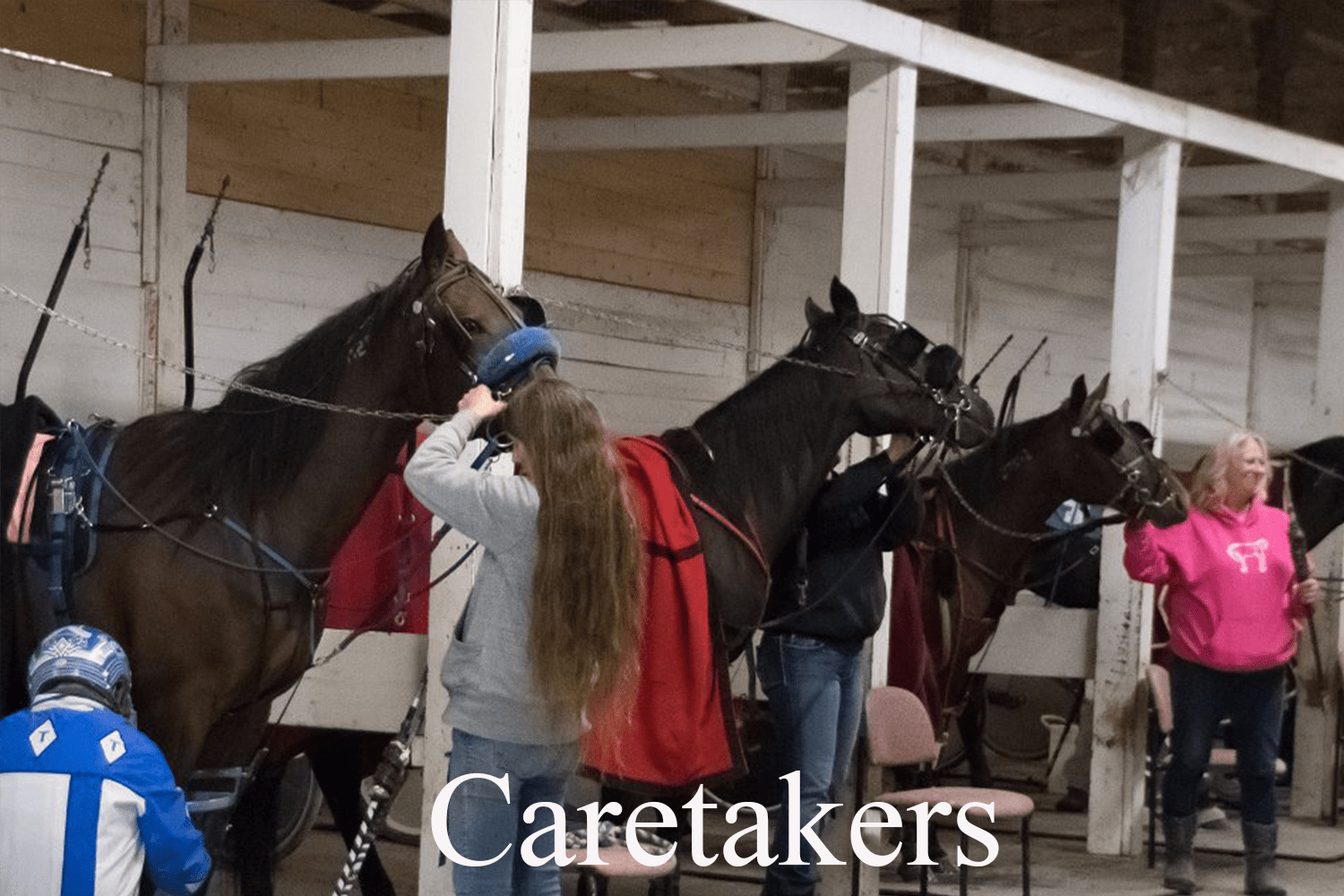 Bob At The Races Equine Photography