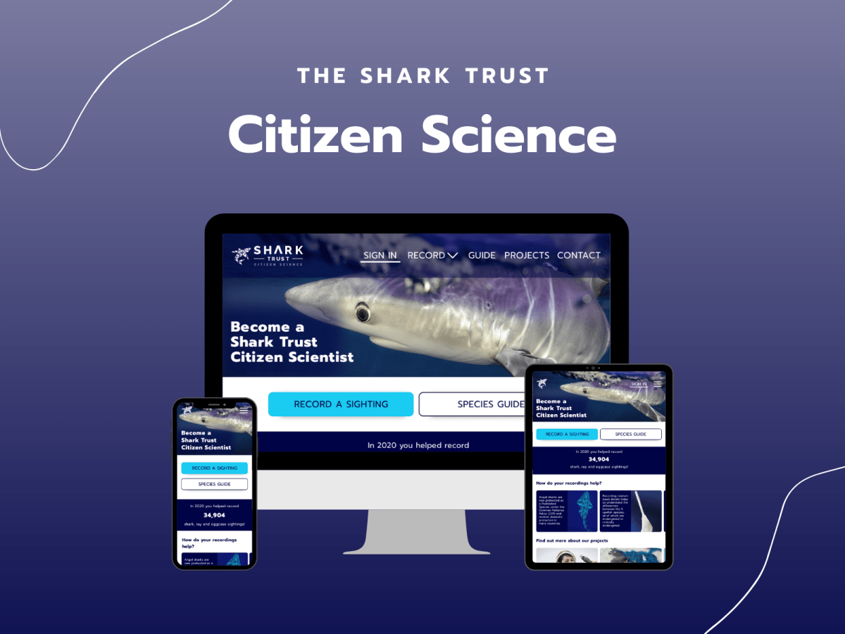 Shark Trust Citizen Science UI Redesign Bobbi Brant