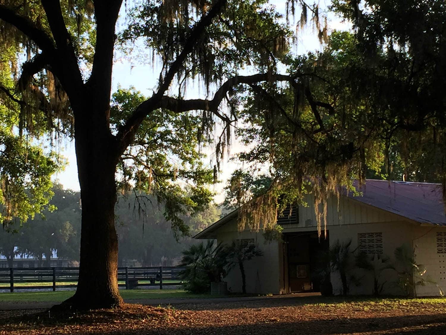 Private Boarding Bobbin Hollow Equestrian Center in Reddick, Florida