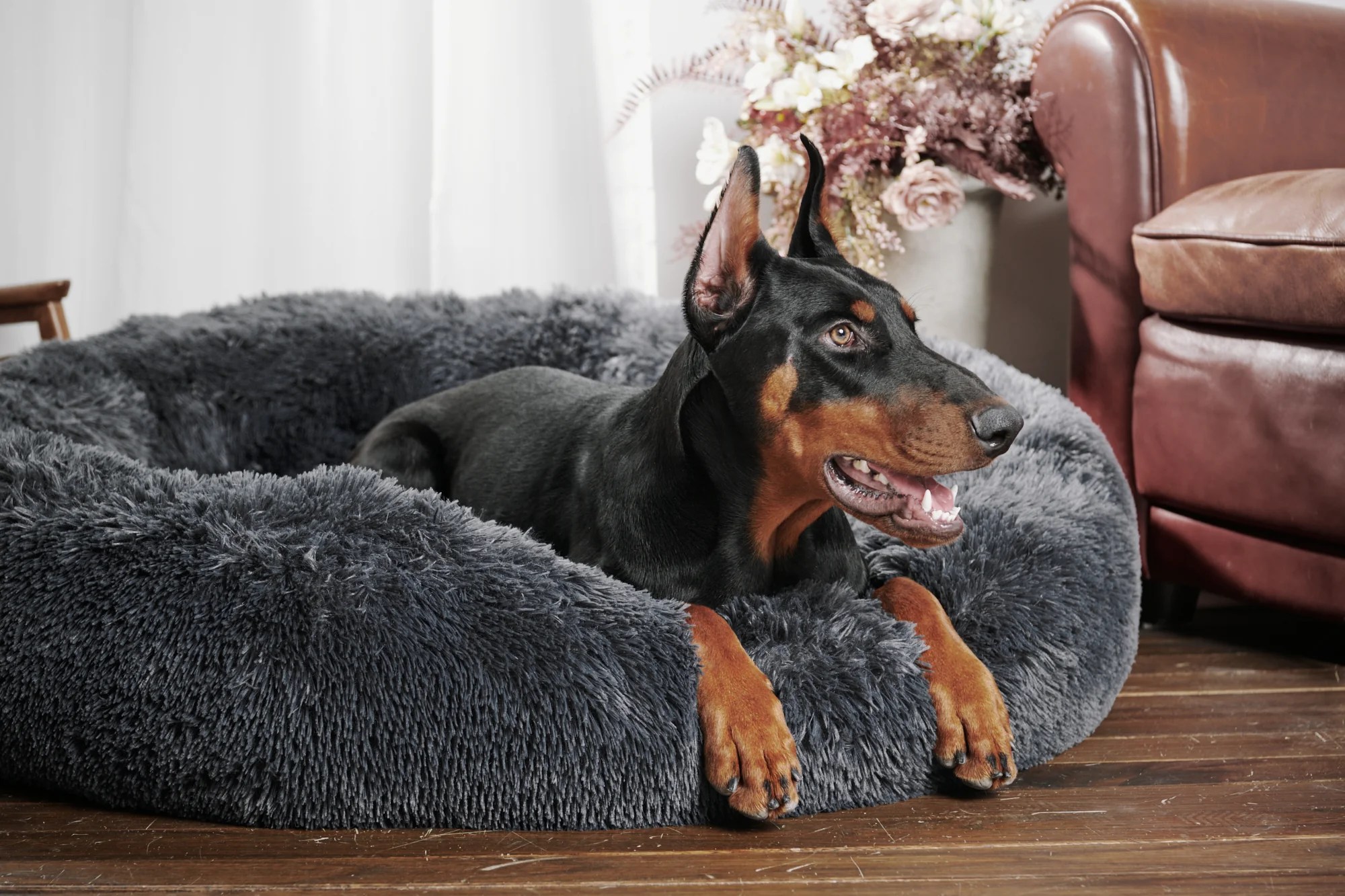 Calming Donut Bed Bobby Bed