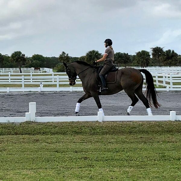 Vero Beach BOBBY GENOVESE
