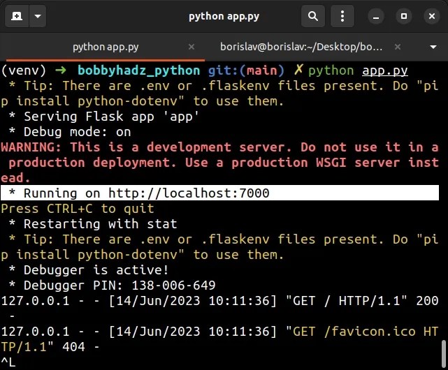 How to change the Port and Host in a Flask application bobbyhadz