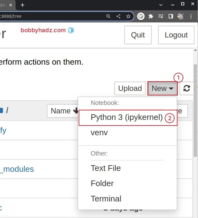 How to check your Python version in Jupyter Notebook bobbyhadz