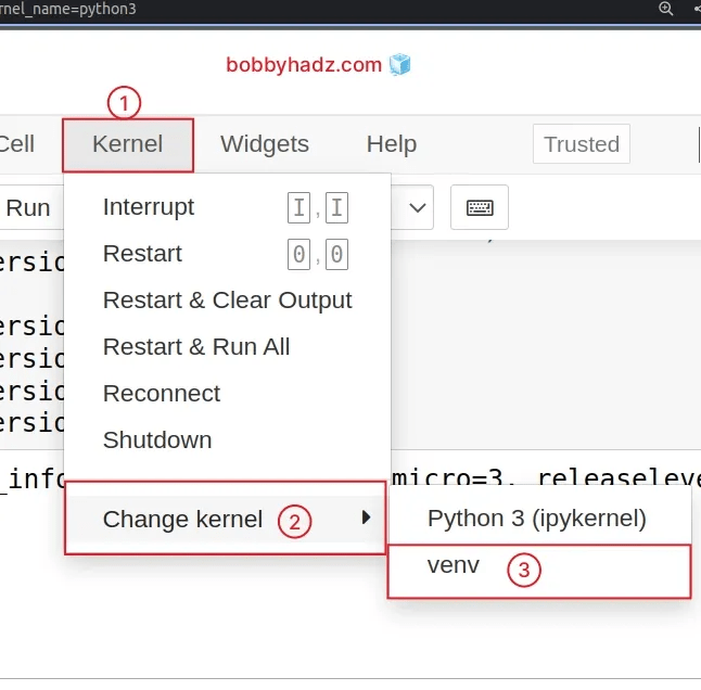 How to check your Python version in Jupyter Notebook bobbyhadz