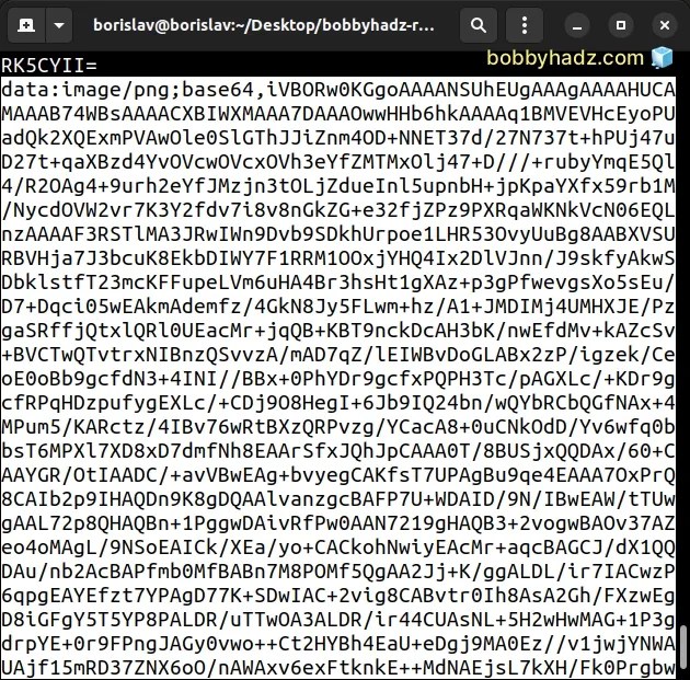 Convert an Image or an Image URL to base64 in Node.js bobbyhadz