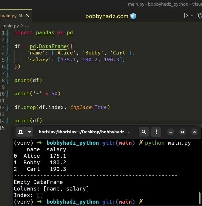 How to drop all Rows in a Pandas DataFrame in Python bobbyhadz