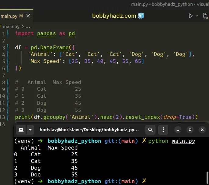 Get the first Row of each Group in a Pandas DataFrame bobbyhadz