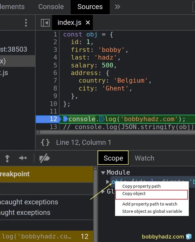Chrome How to Copy an Object or Array from the Console tab bobbyhadz