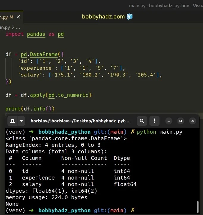 Pandas Convert entire DataFrame to numeric (int or float) bobbyhadz