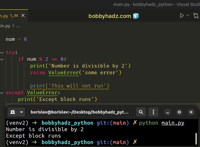 How to exit an if statement in Python [5 Ways] bobbyhadz
