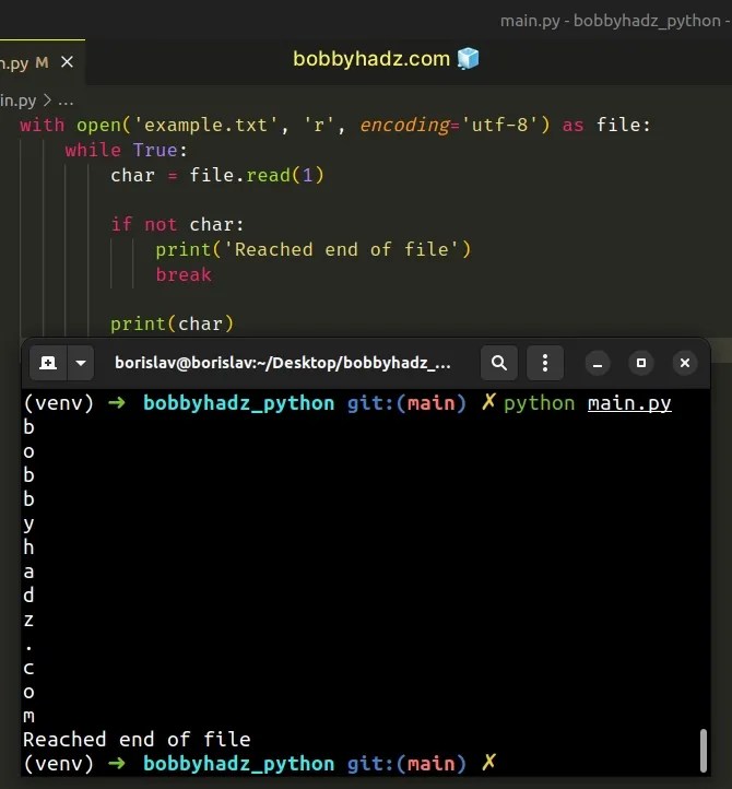 How to Read a file character by character in Python bobbyhadz