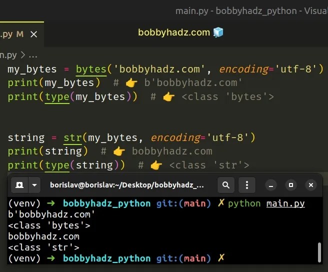 How to remove the 'b' prefix from a String in Python bobbyhadz