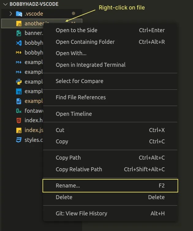 Rename a File, Folder or Workspace in Visual Studio Code bobbyhadz