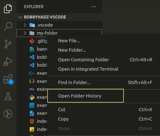 How to view the Git History in Visual Studio Code bobbyhadz