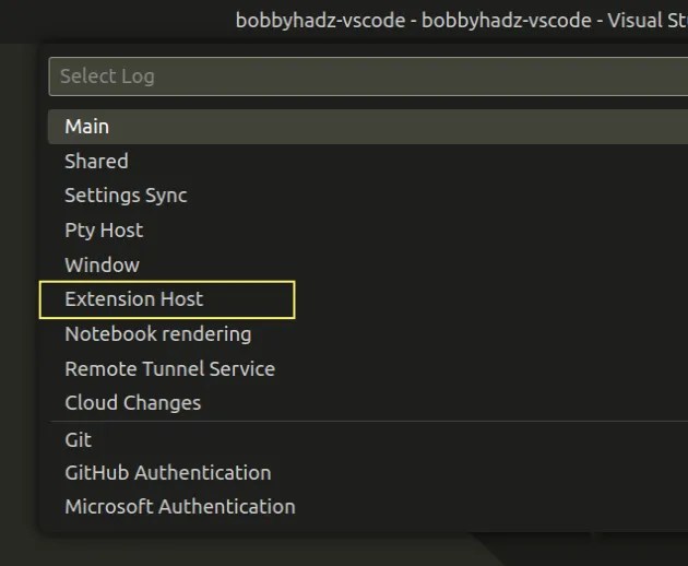 Find and view the VS Code Extension error and Global Logs bobbyhadz