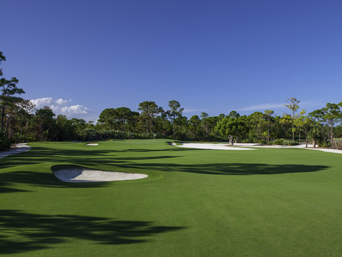 Medalist Golf Club Bobby Weed Golf Design