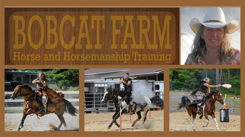 Bobcat Farm Horse & Horsemanship Training Upton, MA