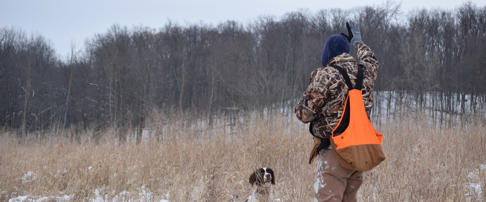 Boberosa Gun Dogs Professional Upland Gun Dog Training Bird Dog Trainer