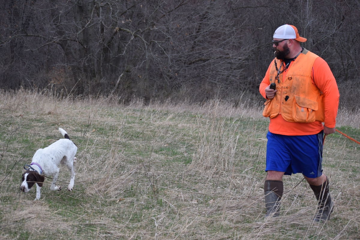 Professional Gun Dogs Trainers Boberosa Gun Dogs