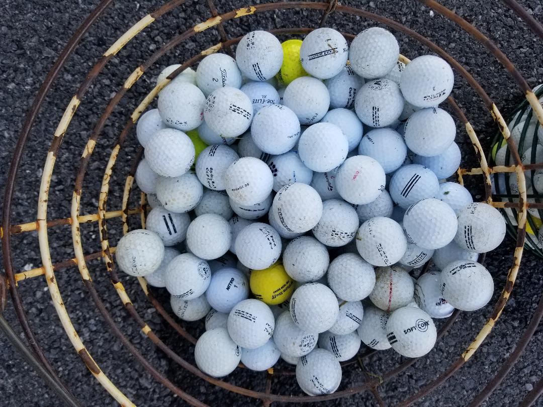 The Golf Ball Hunters BoBirdie