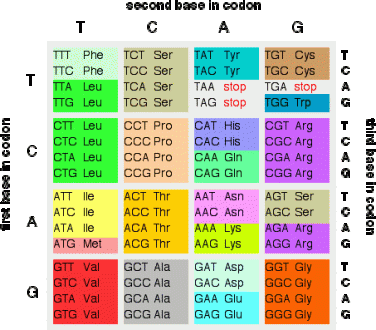 Presenting A 3d Matrix Of Data As A Table Bobobobo S Weblog