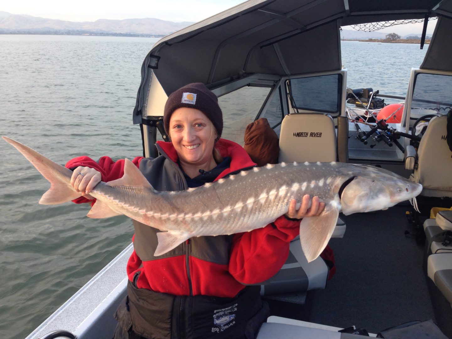 Great time to go Sturgeon Fishing in Sacramento Bob Sparre Fishing