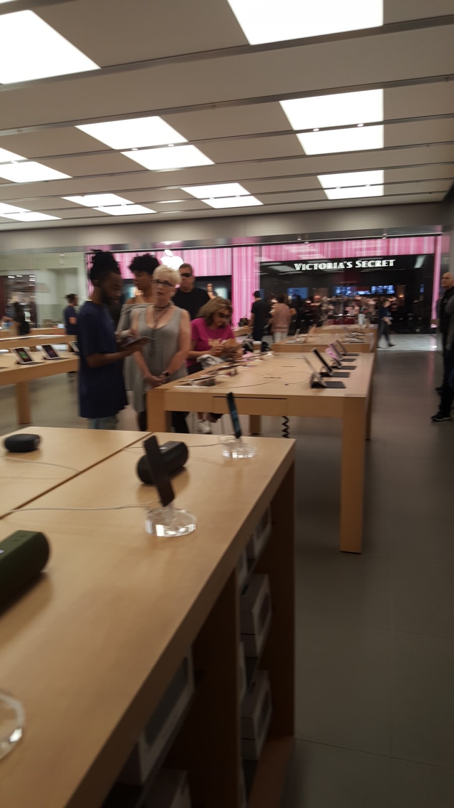 Boca Raton Apple Store Apple