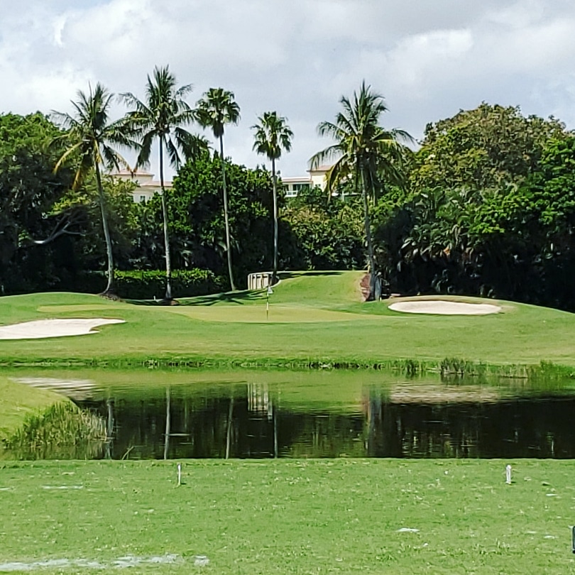 Things to do in Boca Raton Boca Raton Resort & Club