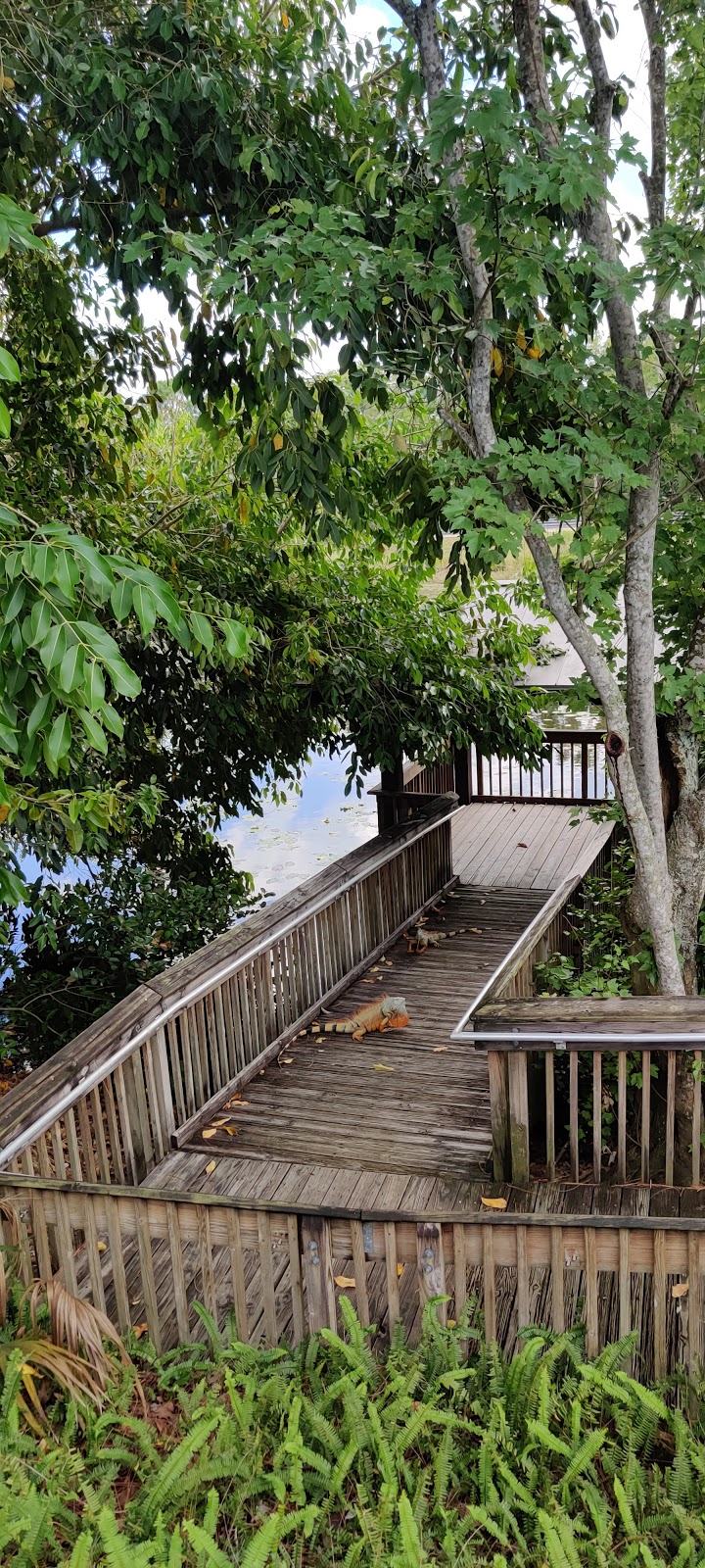 Parks & Recreation Morikami