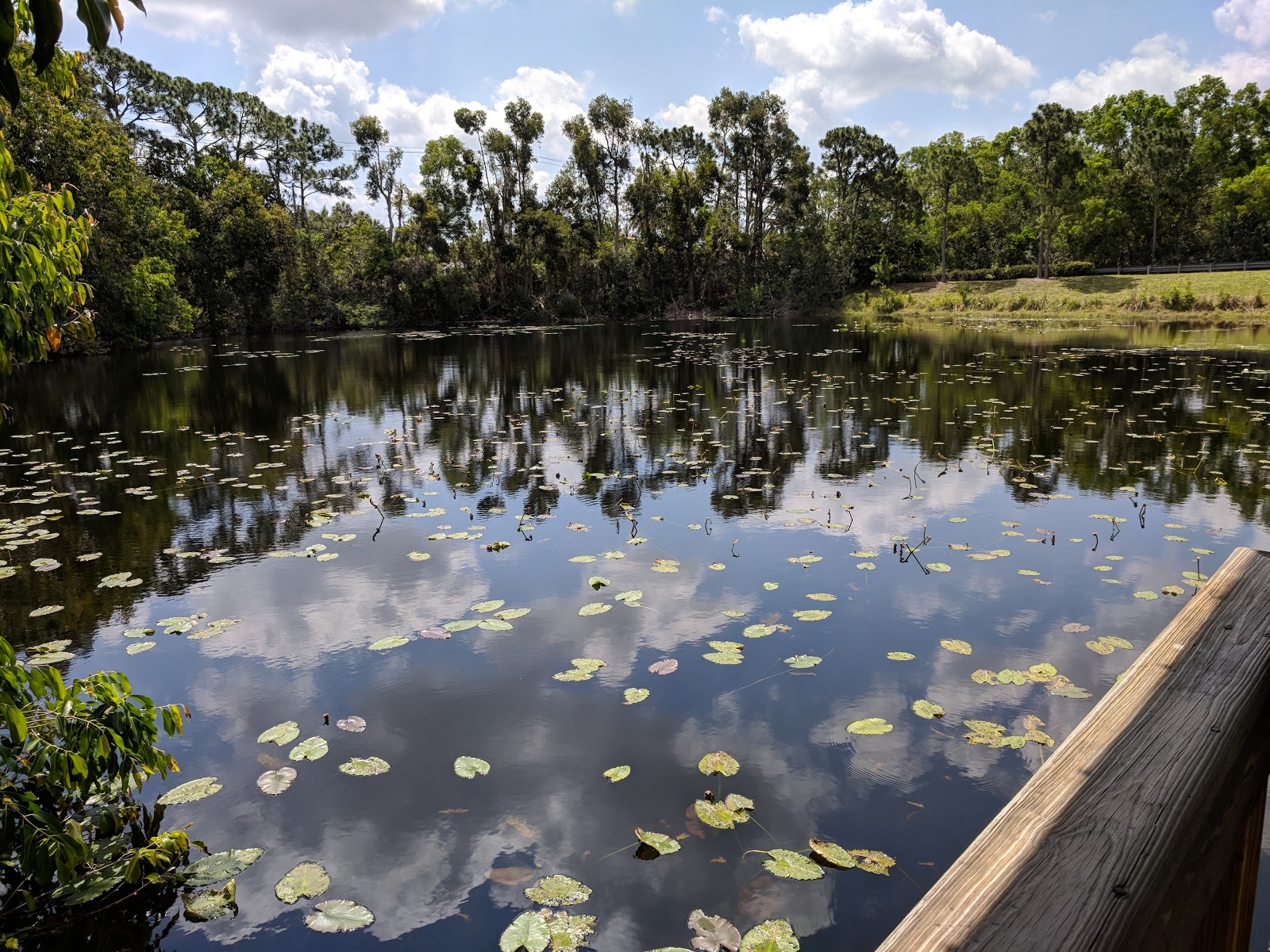 Parks & Recreation Morikami