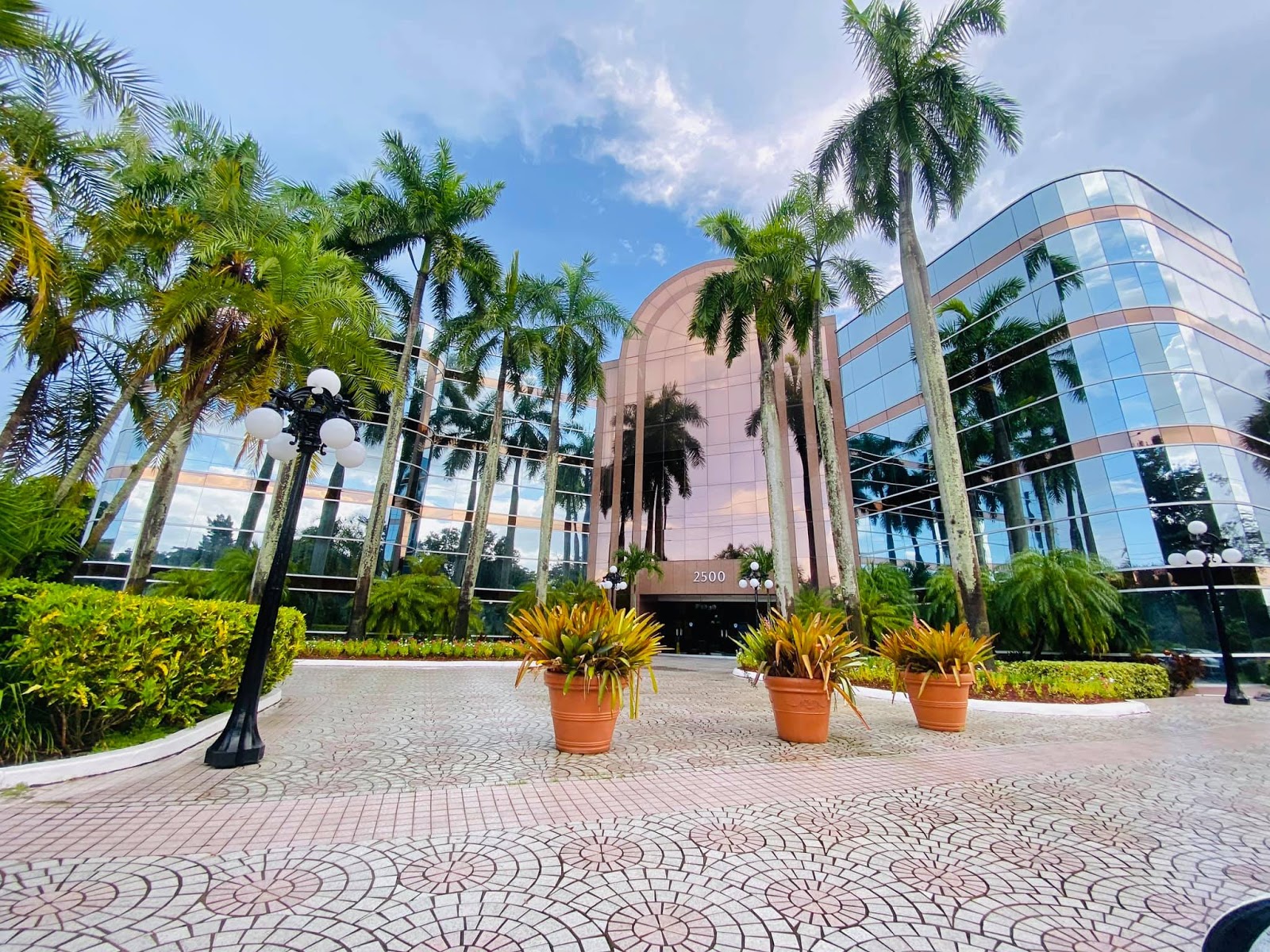 European Wallpaper Design/Wallpaper/furniture/ Tiles Carpet/ Interior