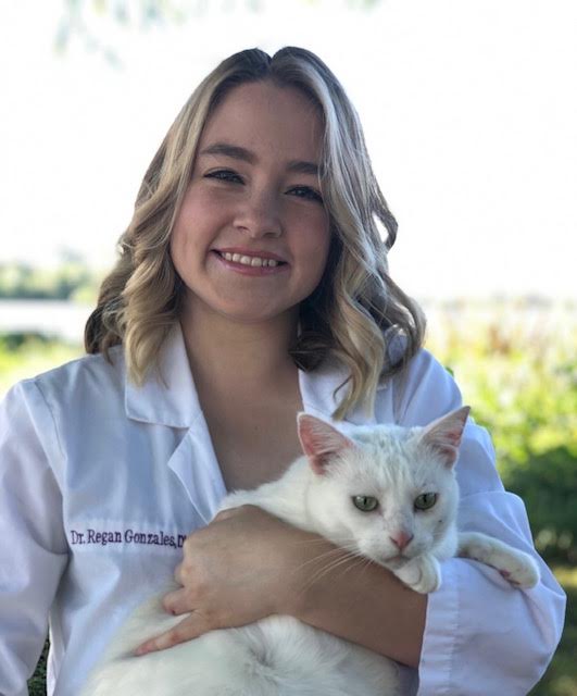 Veterinarian Baton Rouge, LA 70806 Bocage Animal Hospital