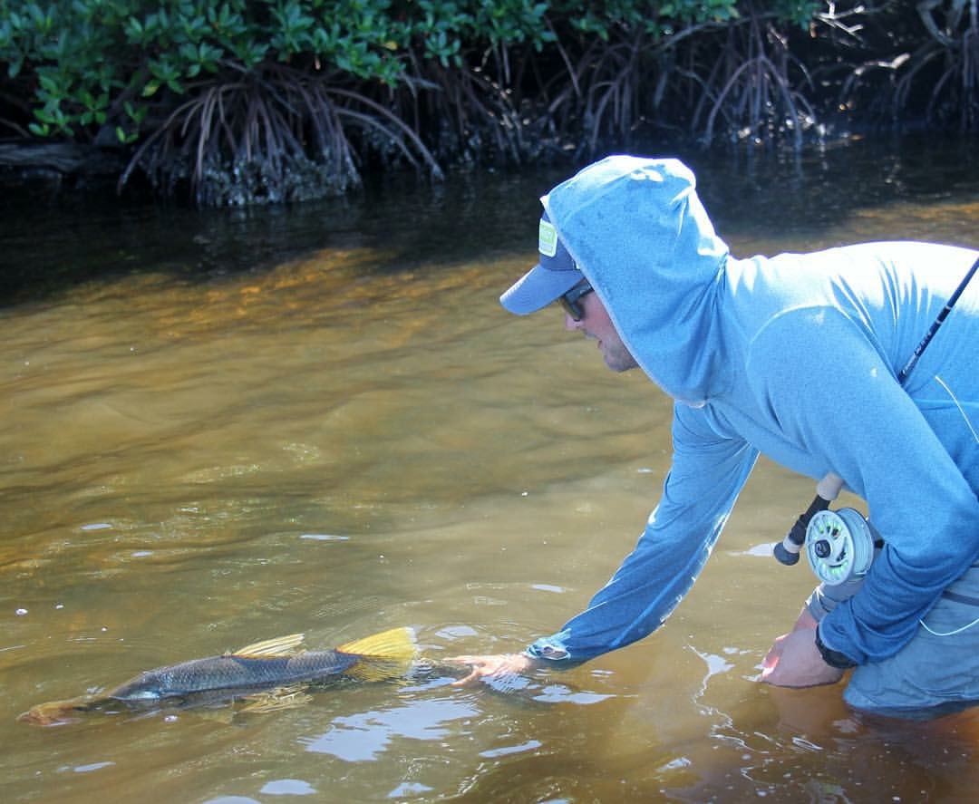 Snook Fishing Boca Grande Fly Fishing Charters