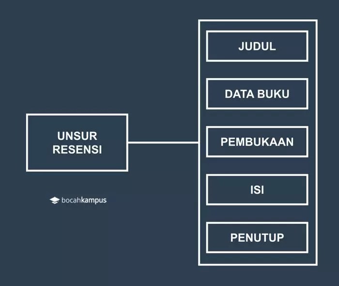 Contoh Resensi Buku dan Novel Beserta Strukturnya (Lengkap)
