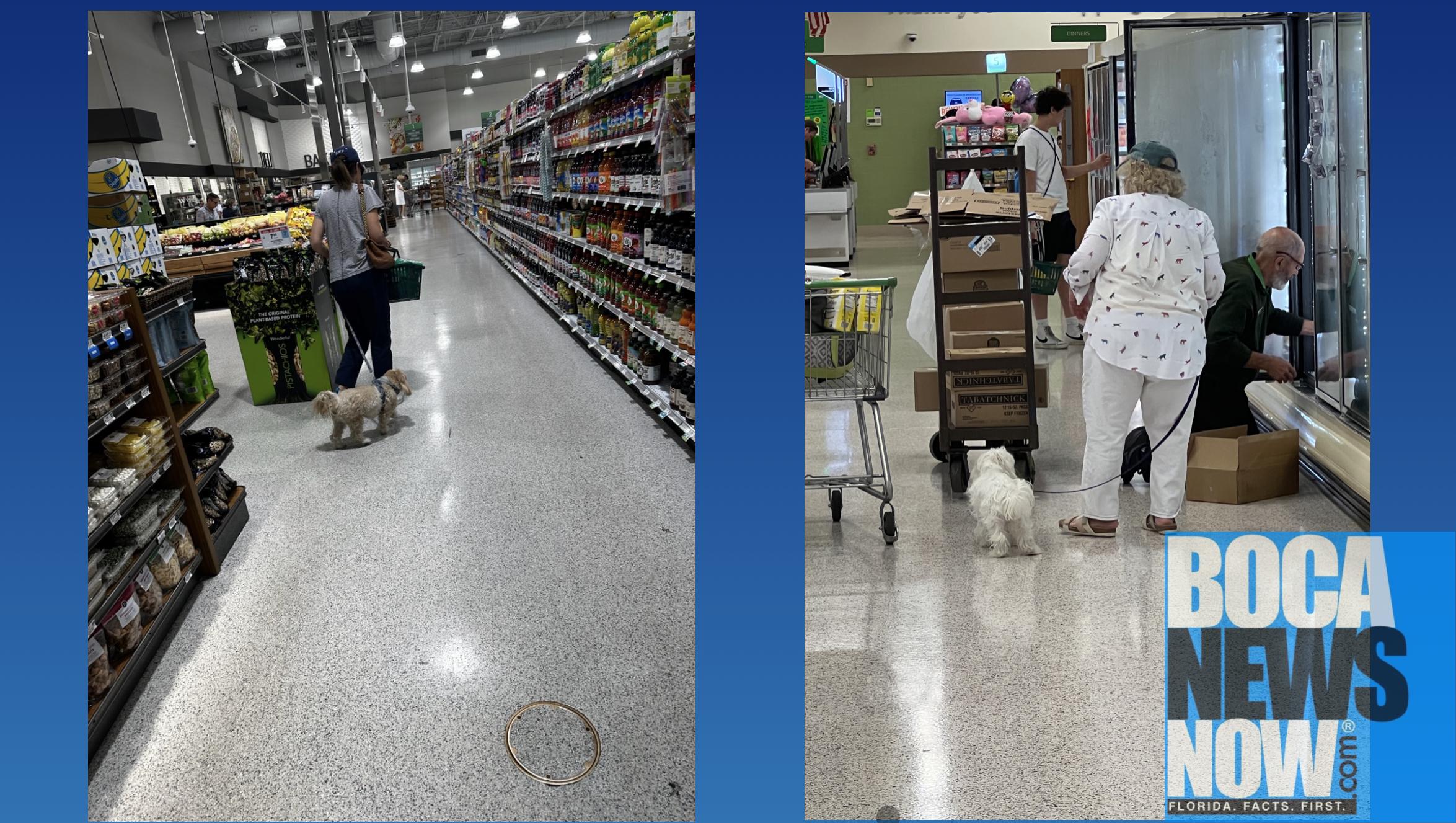 BOCA RUDETON More Publix Pup Problems, Shoppers Think It’s A Dog