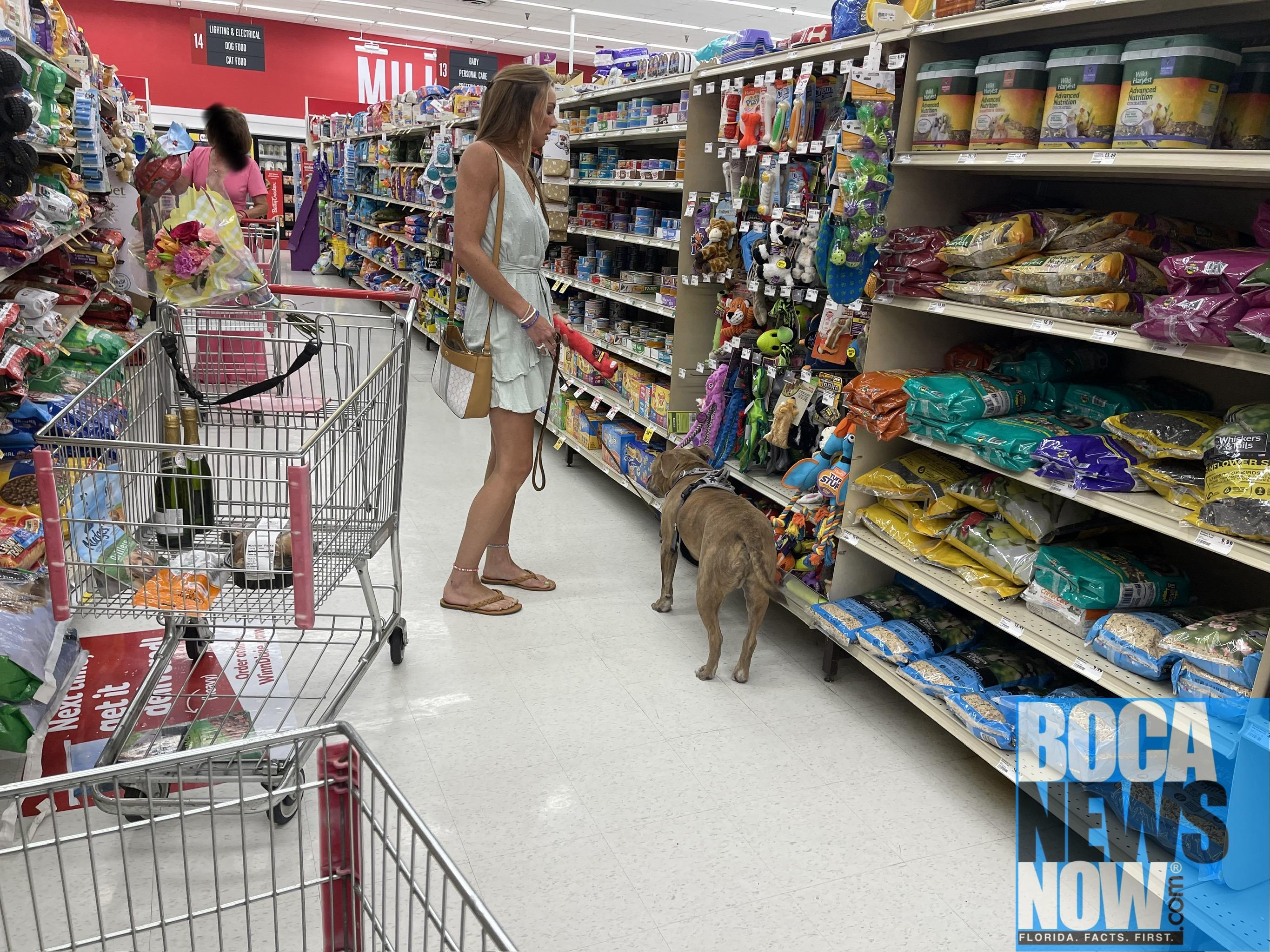 BOCA RUDETON Dog Shops At WinnDixie Boca Raton