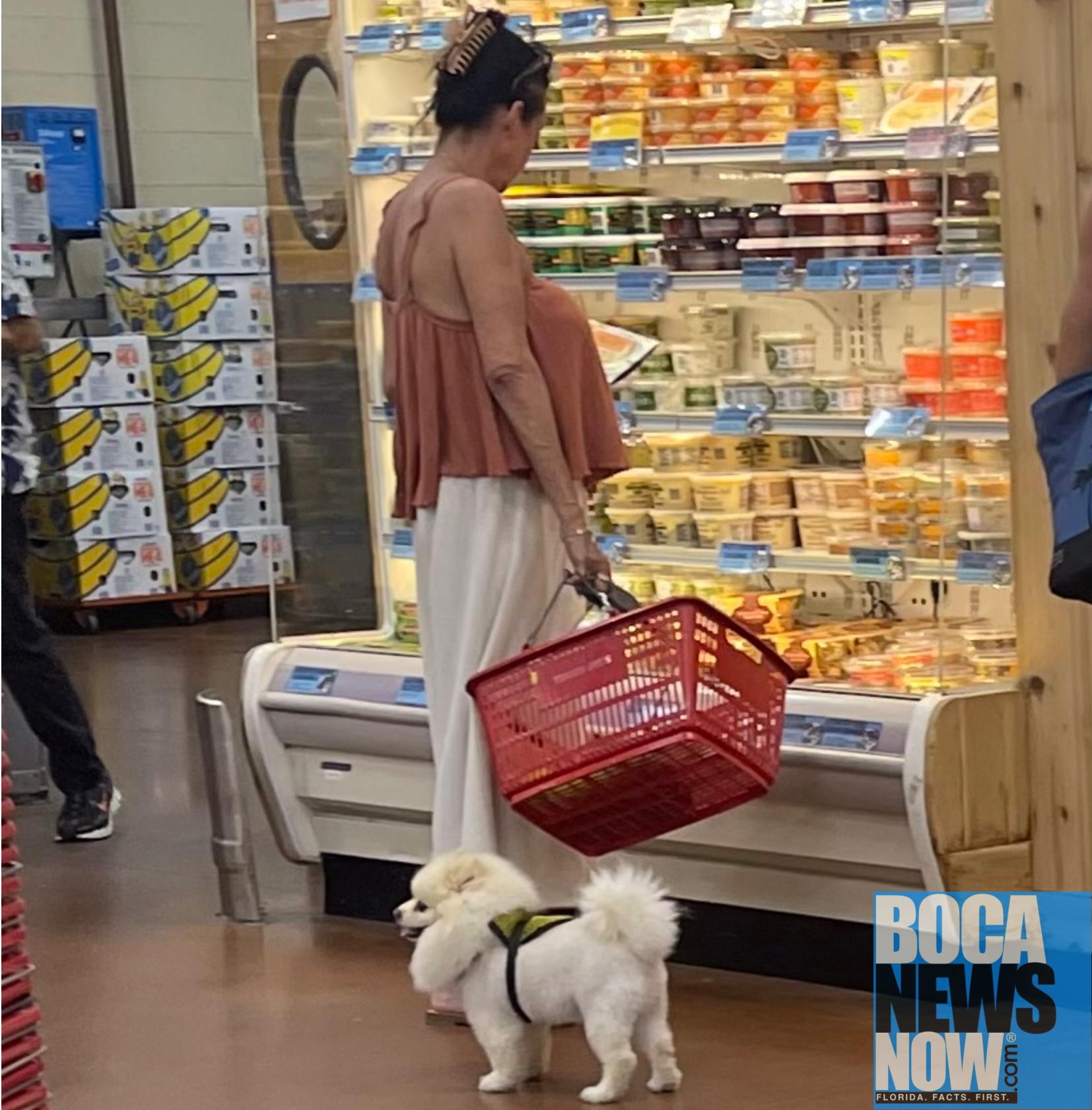 Dog Days Of Summer Show How Rude Some In Boca, Delray Truly Are 