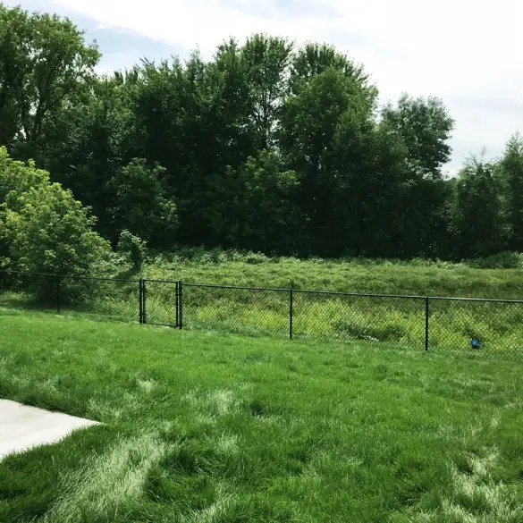 Bocephus Fence Fence Installation & Repair Black Chain Link Fence