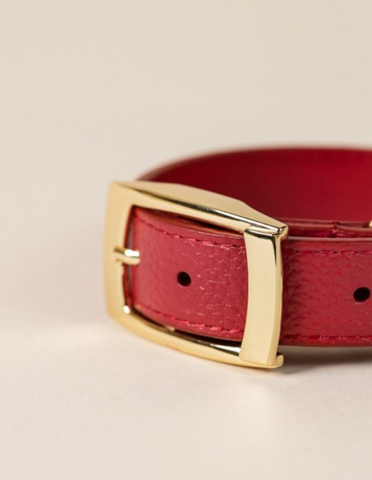 DESIGNER LEATHER DOG COLLAR Jester Red BOco