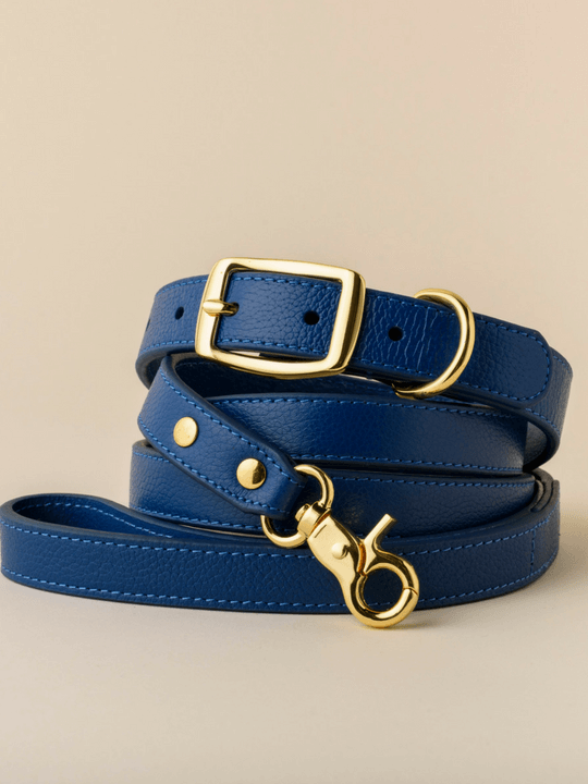 Designer Leather Baby Blue Dog Collars Australia Shop With BOco