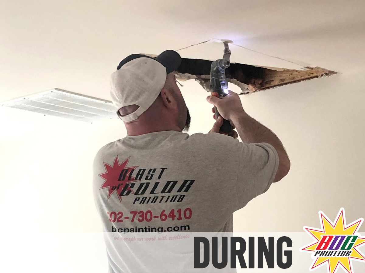 Plaster & Drywall Repair – Blast of Color Painting