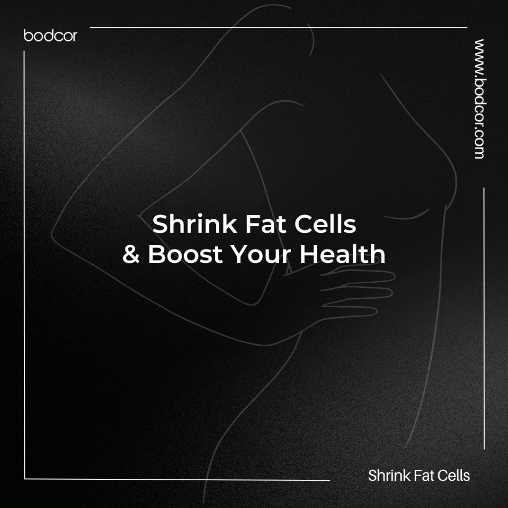 Bodcor's Fat Cell Shrinking Technology How It Works